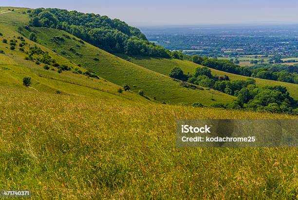 Photo libre de droit de Monts South Downs banque d'images et plus d'images libres de droit de Activité de loisirs - Activité de loisirs, Agriculture, Angle de prise de vue