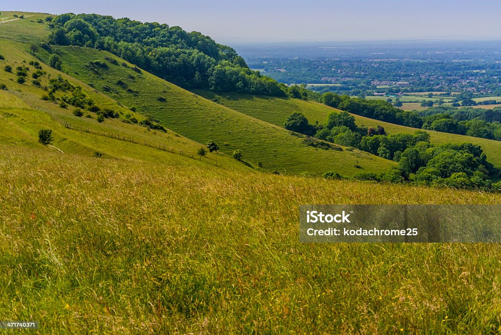 south downs - Foto stock royalty-free di Agricoltura