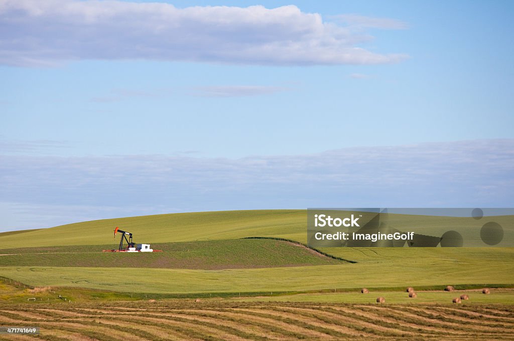 Pumpjack dans le champ de blé - Photo de Alberta libre de droits