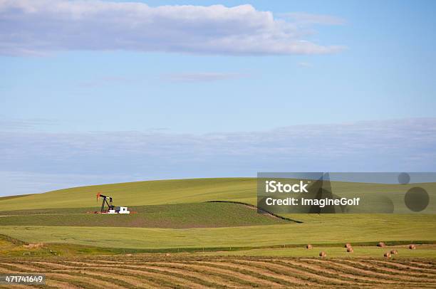 Photo libre de droit de Pumpjack Dans Le Champ De Blé banque d'images et plus d'images libres de droit de Alberta - Alberta, Champ, Couleur verte