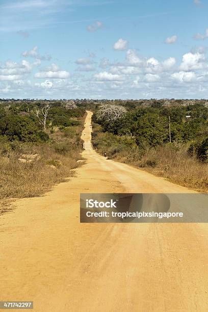 Foto de Moçambique Província De Nampula Highway e mais fotos de stock de Moçambique - Moçambique, Cena Rural, Estrada