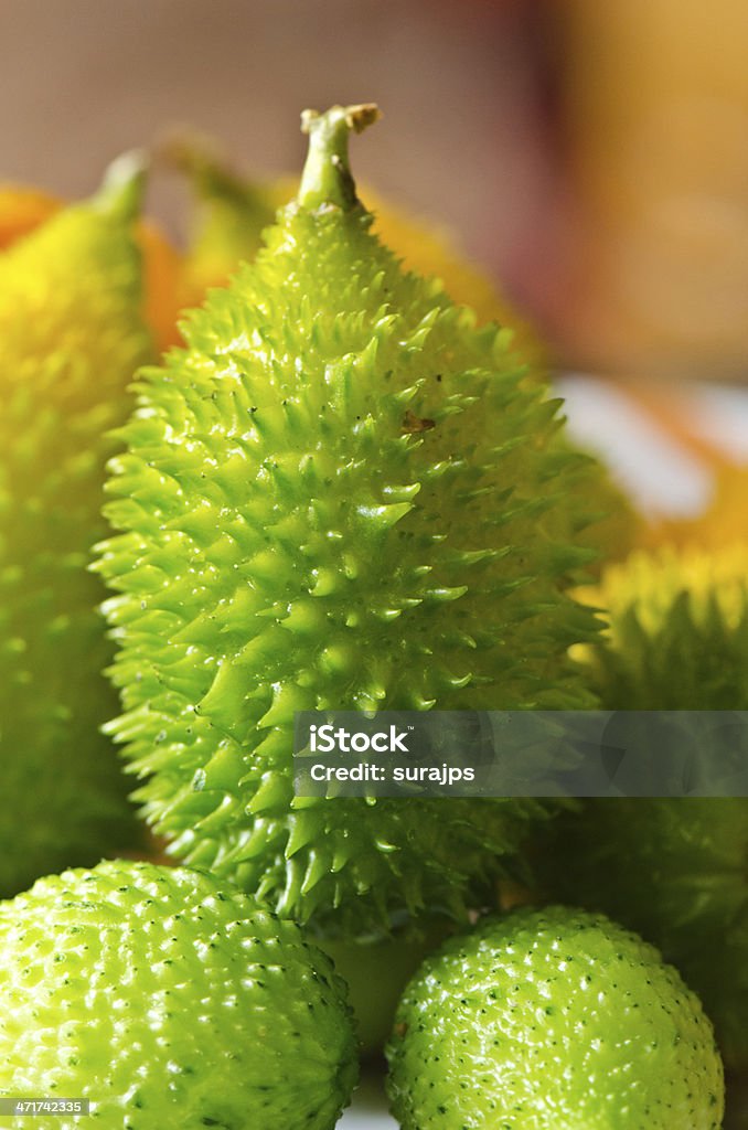 Teasel Gourd Teasel gourds collected from the wild during monsoon. Agriculture Stock Photo