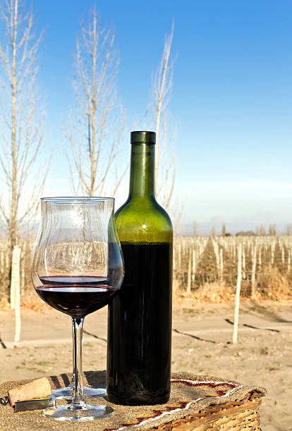очки и бутылка красного вина - wine cork antioxidant wineglass autumn стоковые фото и изображения