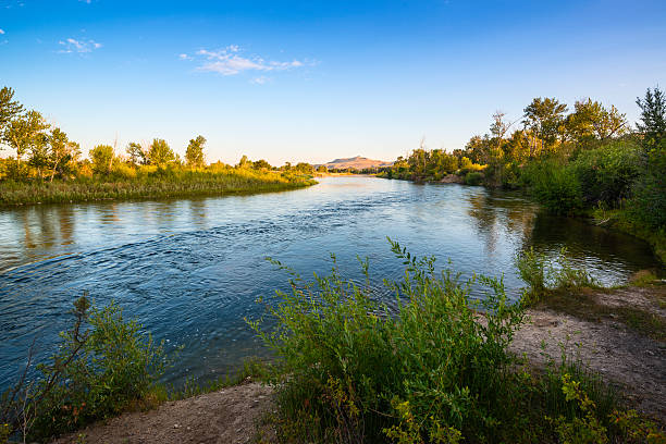 Boise River in summer Beautiful Boise River in Boise, Idaho on a fine summer morning with deep blue sky reflecting in river water boise river stock pictures, royalty-free photos & images