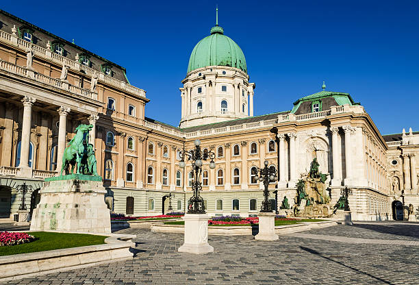 замок буда, будапешт - royal palace of buda фотографии стоковые фото и изображения