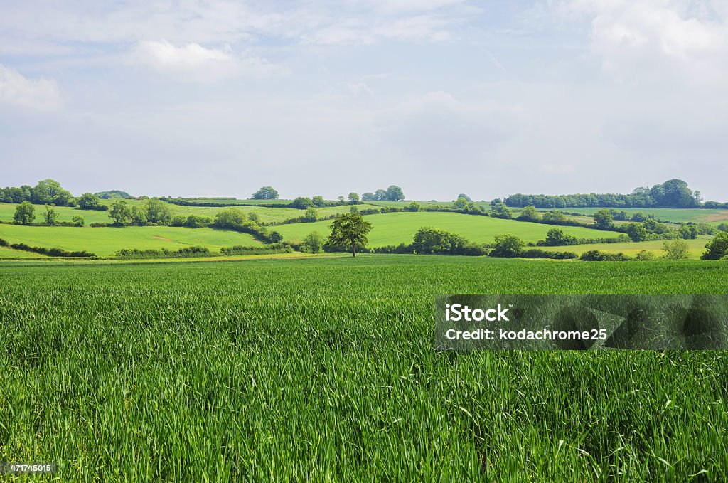 cotswolds - Стоковые фото Англия роялти-фри