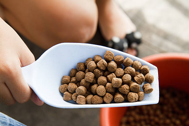istock Pellet fish food. 471745961