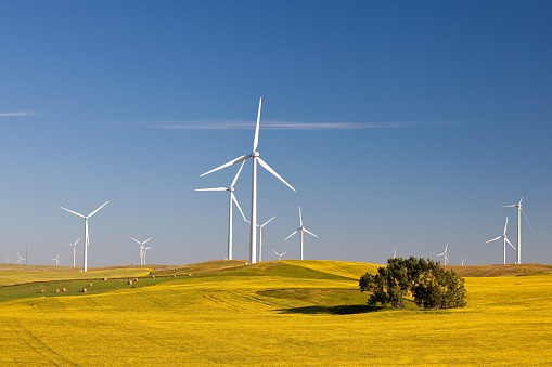 Wind turbines on the prairie. Wind farm in Alberta, Canada.