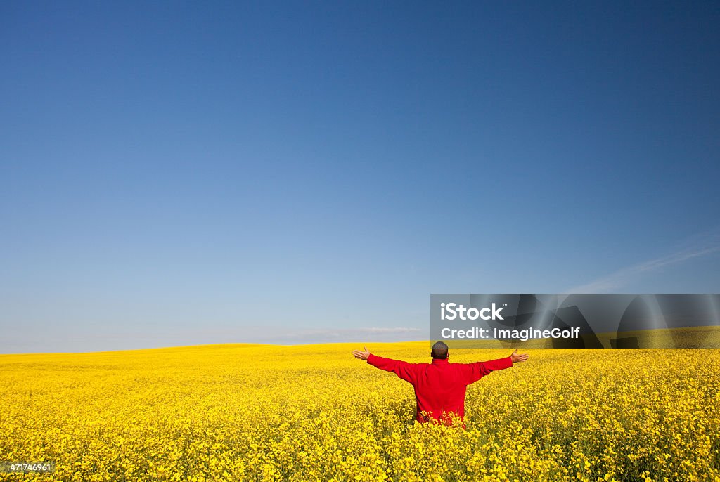 Glücklicher Mann in einem Canola Field - Lizenzfrei Applaudieren Stock-Foto