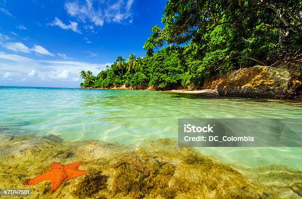 Starfish And Green Island Stock Photo - Download Image Now - San Andrés Island - Colombia, Providencia Island, Colombia