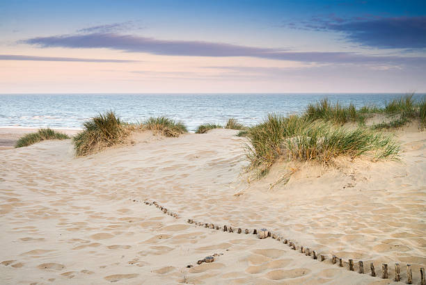 istock Grassy sand dunes landscape at sunrise 471748913