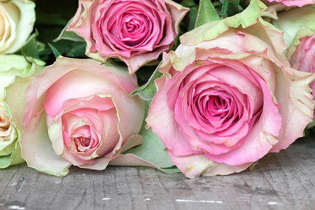 istock Flowers for valentines or mothers day 471749358