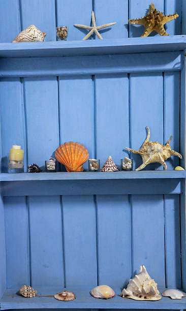 Blue Wooden Shelf with Various Type of Sea Shell Covers