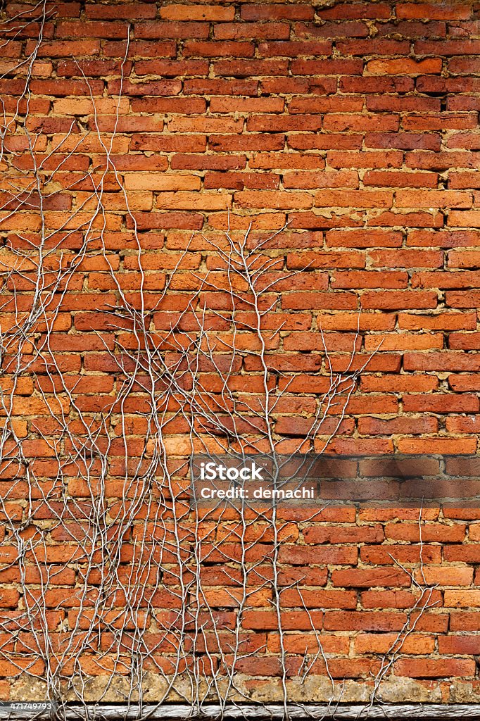 Pared de ladrillo viejo abandonado - Foto de stock de Abandonado libre de derechos