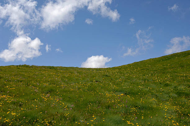 istock Grass green and sunny sky with clouds. Predazzo, Dolomiti, Italy 471751203