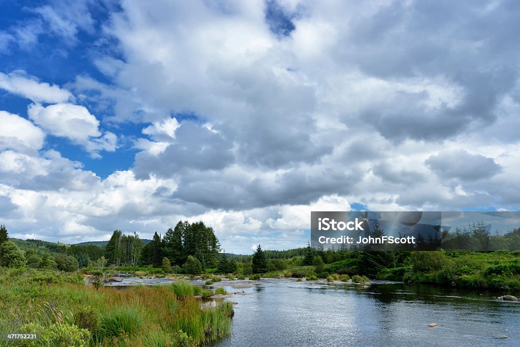 Scottish Escena rural de un campo al río durante el verano - Foto de stock de Agua libre de derechos