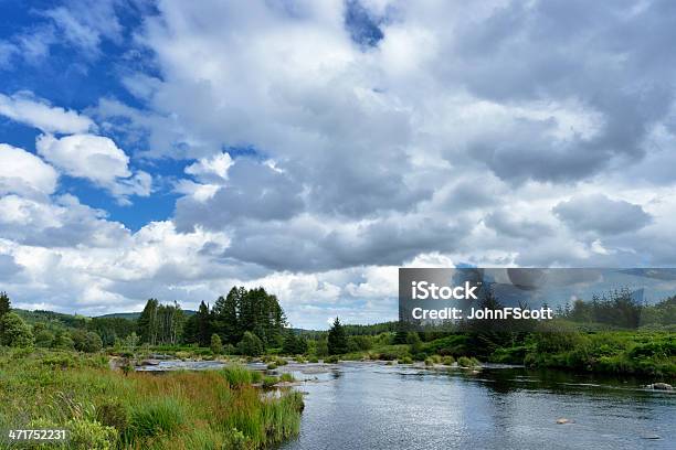 Scottish Escena Rural De Un Campo Al Río Durante El Verano Foto de stock y más banco de imágenes de Agua