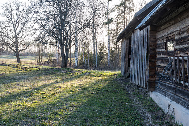 istock old countryside house wooden wall details with cow skull 471753676