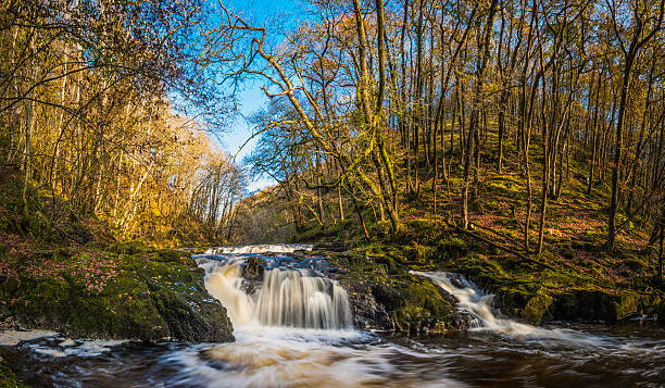 istock Forest waterfall tumbling through picturesque mountain valley Brecon Beacon Wales 471754134