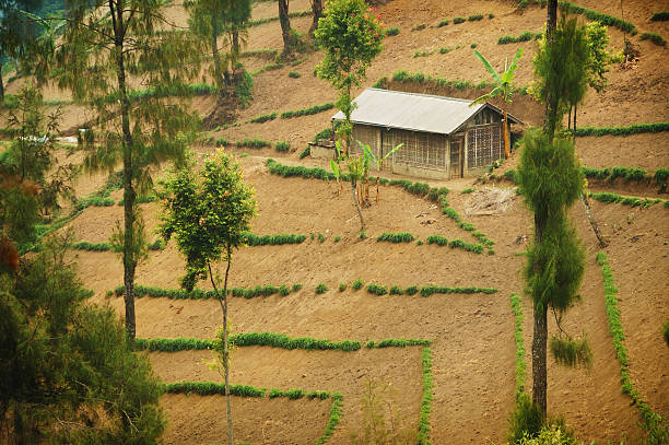 istock Single house on cultivated land 471754341