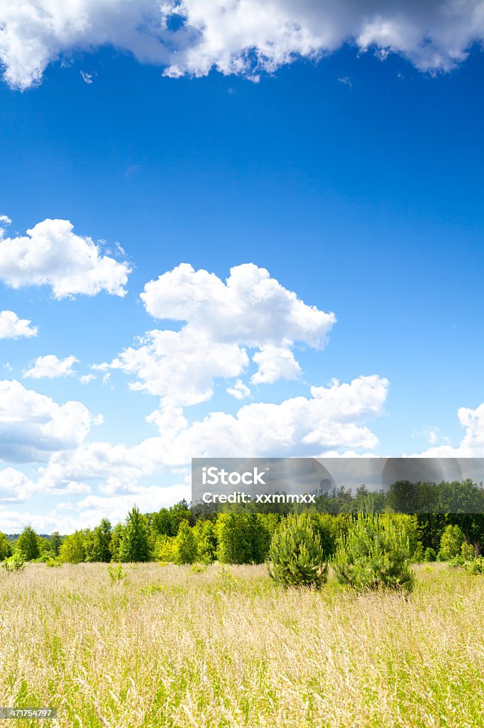 Prato e cielo - Foto stock royalty-free di Agricoltura