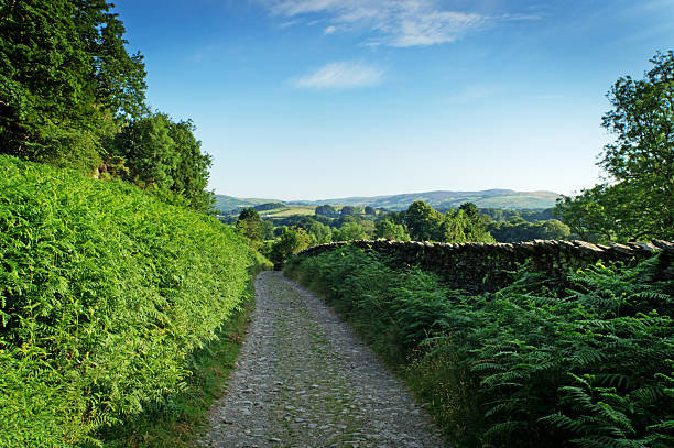 road, cerca de coniston agua - nibthwaite fotografías e imágenes de stock