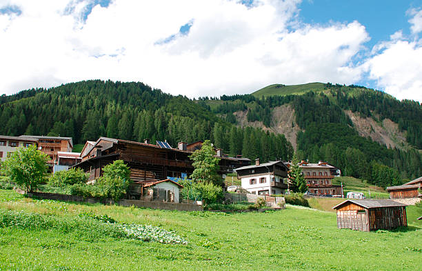 istock Sauris of Sopra 471756379