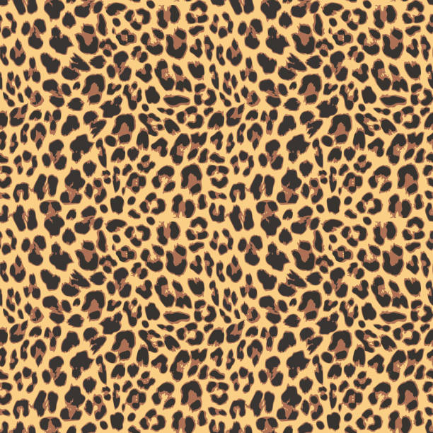 ilustrações, clipart, desenhos animados e ícones de leopardo padrão sem emendas de design, ilustração do vetor - hairy