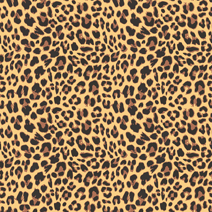 Leopard seamless pattern design, vector illustration backgroundd