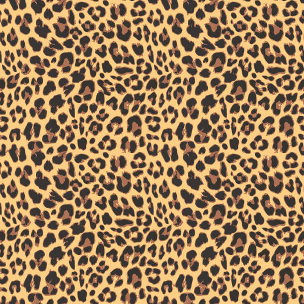 Seamless leopard pattern background design Leopard seamless pattern design, vector illustration backgroundd animal print pattern stock illustrations