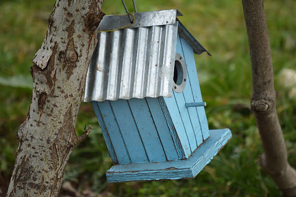 istock Old blue wooden birdhouse 471760418