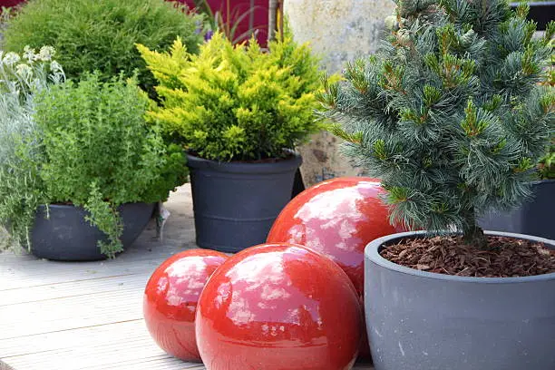 Garden terrace with red balls, plants and herbs