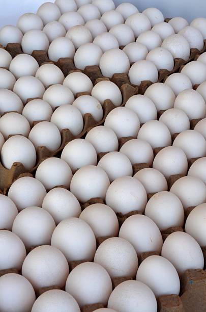 Eggs and More Eggs stock photo