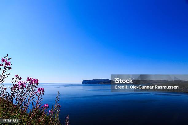 Blue Sky And Ocean Stock Photo - Download Image Now - Blue, Flower, Norway
