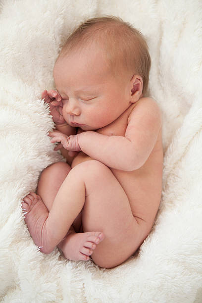 Sleeping Newborn Baby in Fetal Position on White Fur Newborn baby in fetal position sleeping on white fur blanket. hugging knees stock pictures, royalty-free photos & images