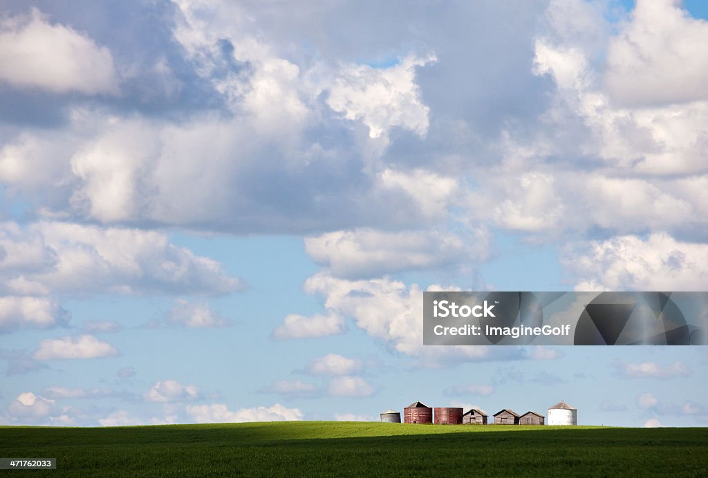 Compartimientos de grano y Prairie Sky - Foto de stock de Agricultura libre de derechos