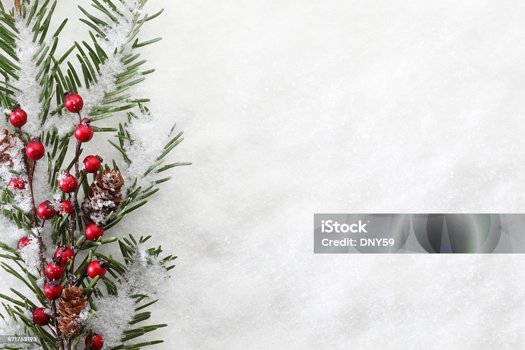 Boughs de Natal - Foto de stock de Azevinho royalty-free