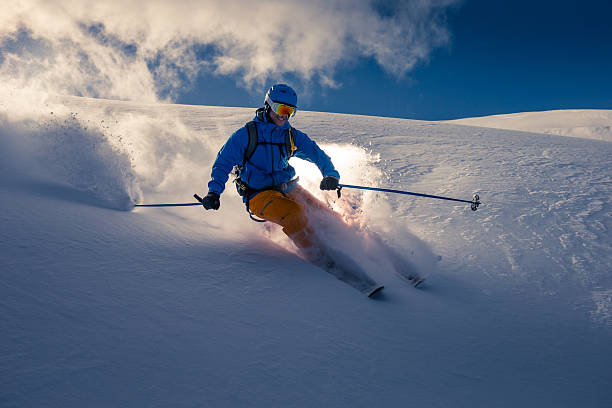 порошок на лыжах - skiing british columbia sports helmet tree стоковые фото и изображения