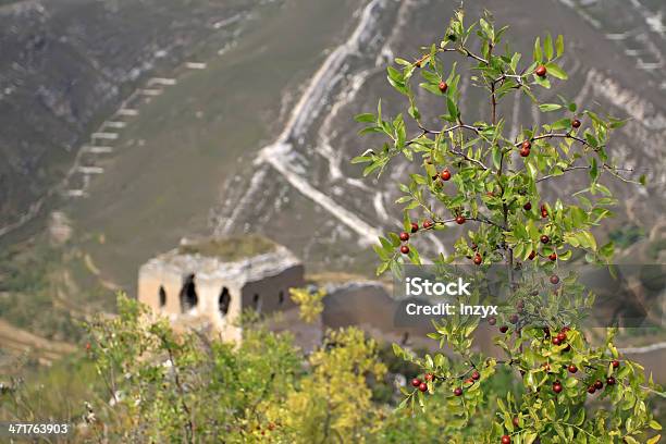 Original Ecology Of The Great Wall And Wild Jujube Stock Photo - Download Image Now - Asia, Autumn, Awe