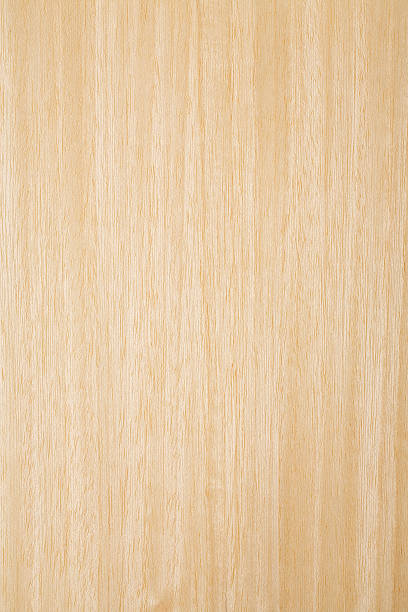 Wood texture - Koto Woody - Koto veneer. High resolution natural woodgrain texture. Close-up. Photographed on Canon 5d mkIII + Canon EF 100mm f/2.8L Macro IS USM Lens. Developed from RAW, Adobe RGB color profile.The grain and texture added. birch tree stock pictures, royalty-free photos & images