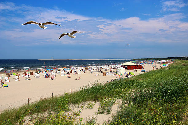 mar báltico beach en swinoujscie, polonia - sunny day sunlight seagull fotografías e imágenes de stock