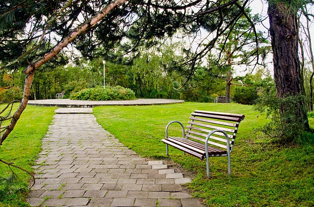 istock bench in the resort park 471766423