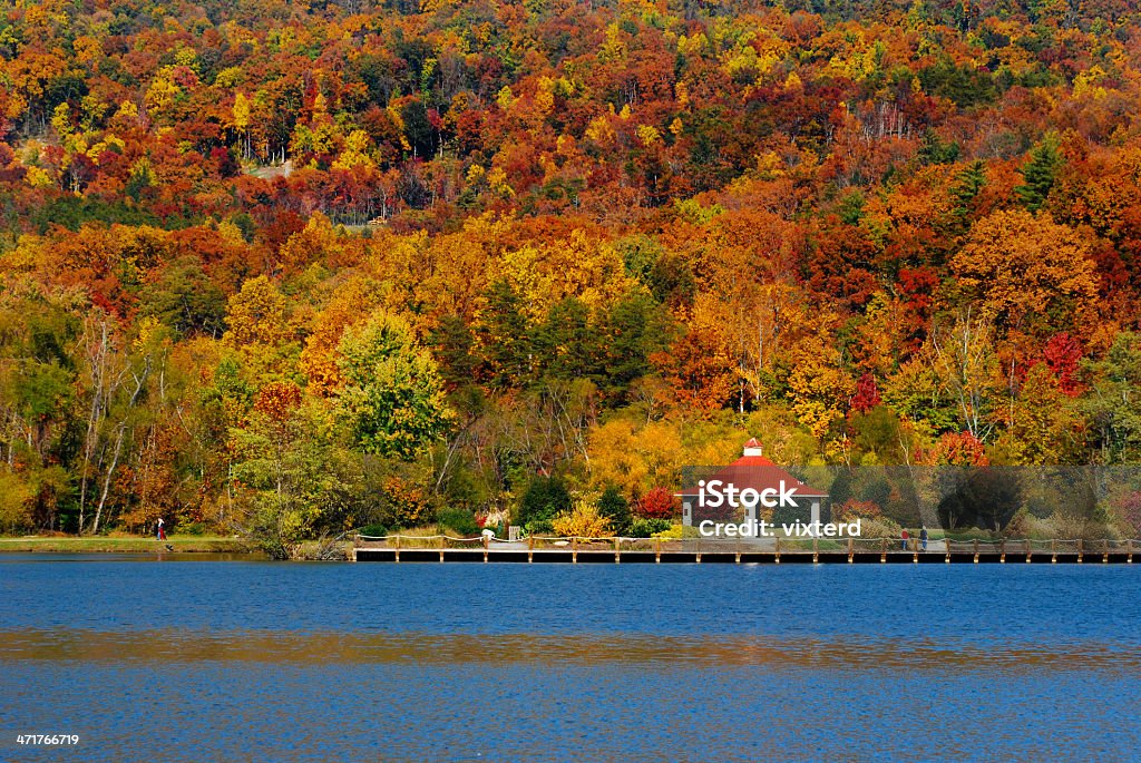 Lake Lure lebendige Herbst Farben, North Carolina - Lizenzfrei Blatt - Pflanzenbestandteile Stock-Foto