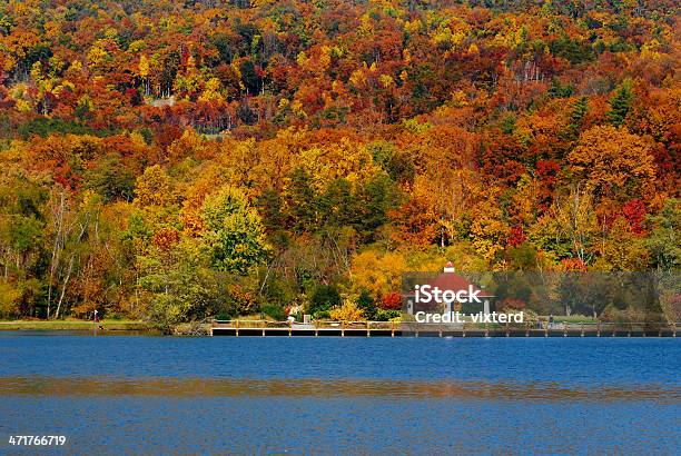 Lake Lure Lebendige Herbst Farben North Carolina Stockfoto und mehr Bilder von Blatt - Pflanzenbestandteile - Blatt - Pflanzenbestandteile, Blau, Fotografie