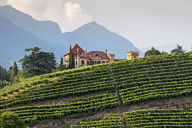 mansion nei vigneti - alto adige foto e immagini stock