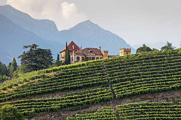 Mansion in the vineyards Old mansion amidst of vineyards in Meran (South Tyrol, Italy). alto adige italy stock pictures, royalty-free photos & images