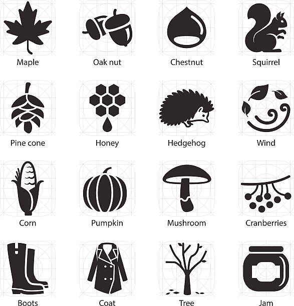illustrations, cliparts, dessins animés et icônes de stock illustration vectorielle:  icônes d'automne - pine nut illustrations