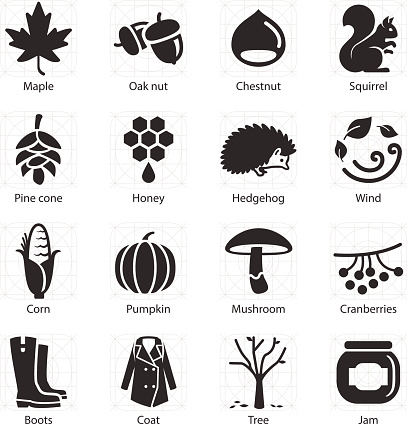 Stock Vector Illustration: Autumn icons