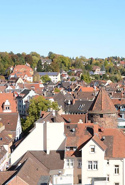 istock roofs of Lahr 471768147