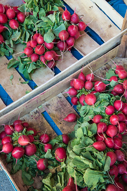 radishes at farmer's market stock photo